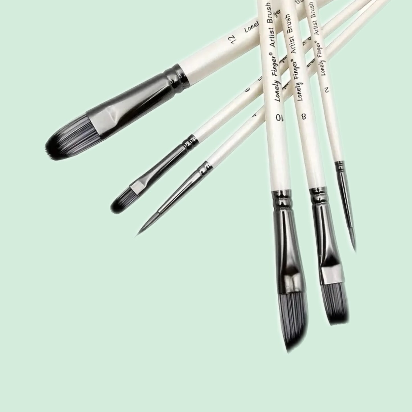 Brush set (6 brushes)