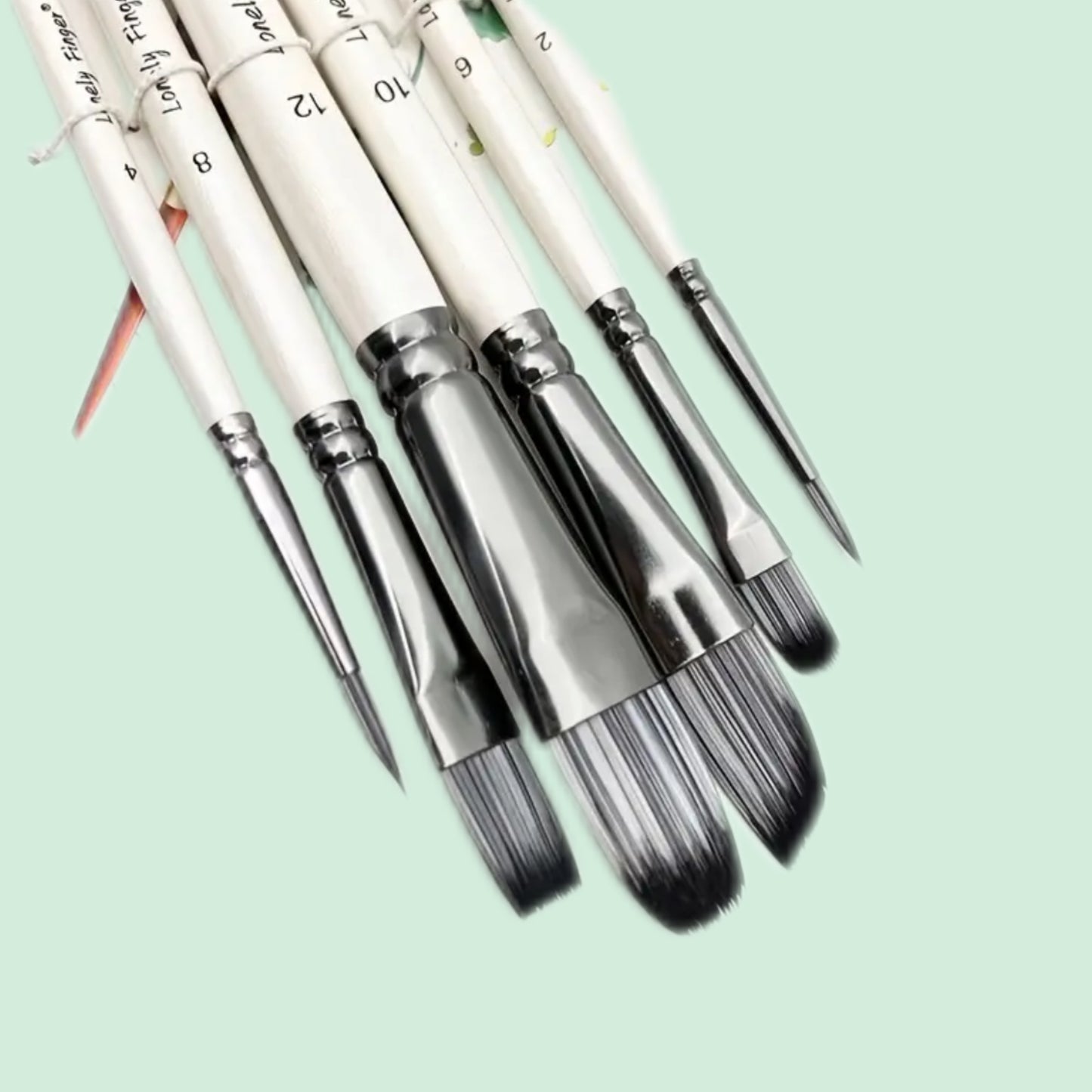 Brush set (6 brushes)